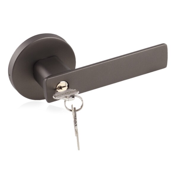 꾸밈닷컴 - 이달의 신상품 > 방문손잡이 키타입 포르티스